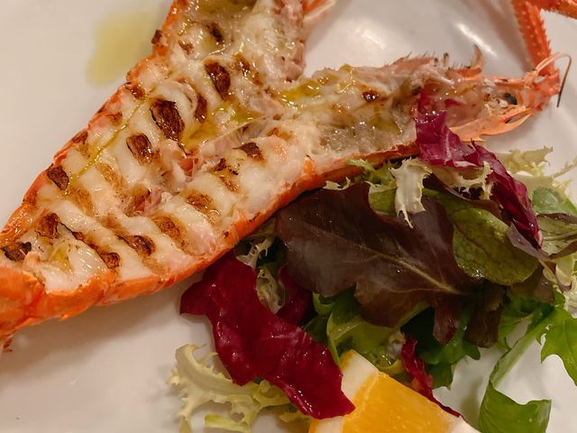 �C�V�����C����_���B�m�q���^