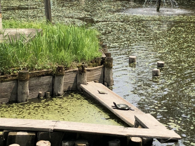 vɓ_(zJ) r̋TЂȂڂ_vɓ_