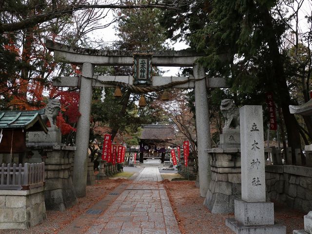 �����B_���ؐ_�Ё@