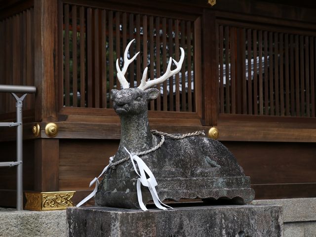 �Гa�̑O�Ɏ��B_���ؐ_�Ё@