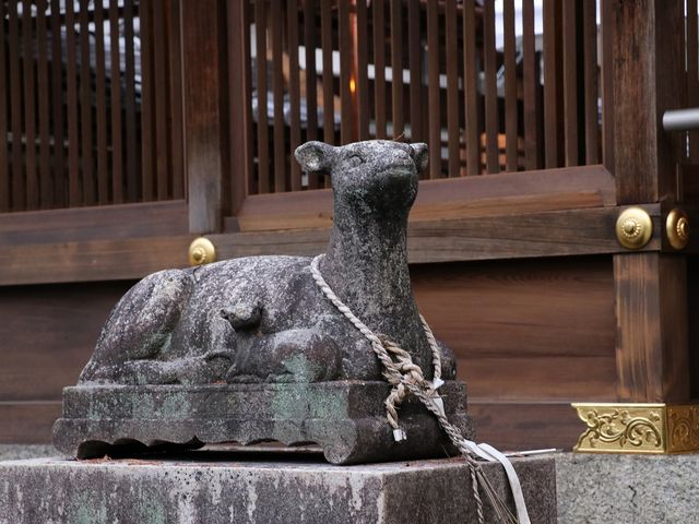 ���Y�΂ɂȂ��Ă��܂����B_���ؐ_�Ё@