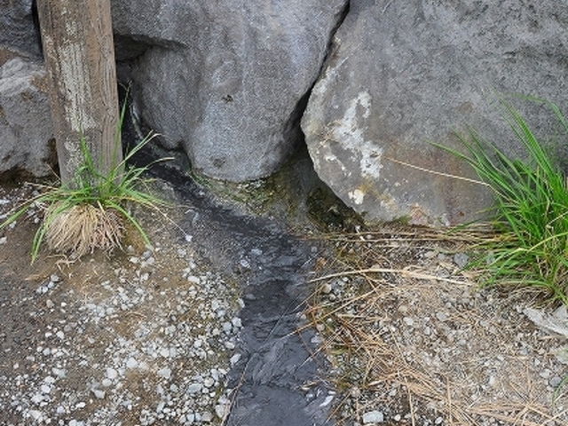 �R��Ă��鉷��
�G��܂��傤�B_�F�̓��ق��鉷��