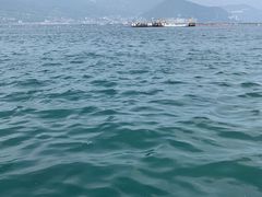 낳̊Cޖx@ނ̓Cւ̓eʐ^1