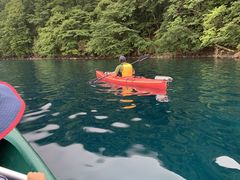 肳PADDLE STREETւ̓eʐ^1