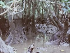 \Vo̊όlbg[Nւ̓eʐ^2