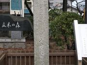 YanwenlǐŌÂ̓Wiؐ_Ћj̓eʐ^1