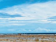 ܂񂳂̕Đ{C݂̓eʐ^1