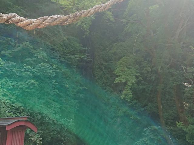 �s�v�c�Ȍ���_�{�V�k�J