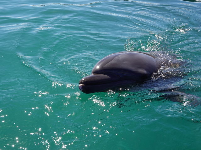 aA߂AGł܂_htBt@^W[Ί_