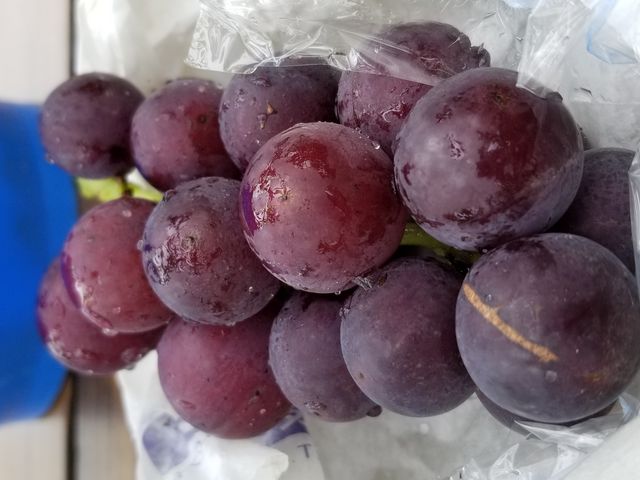 �Â��Ĕ�����������_����ʎ���