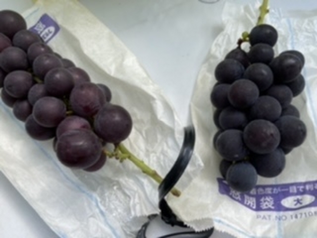 �Â�����ł��I_����ʎ���