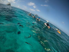 Little@mumNEWSߔeXւ̓eʐ^1