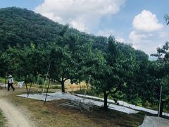 悱̂܂邦όʎւ̓eʐ^1