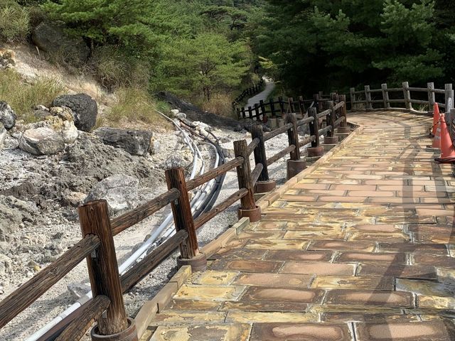 �_�厩�R�����H