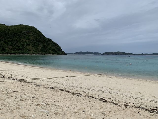 �n�Îu�v�r�[�`