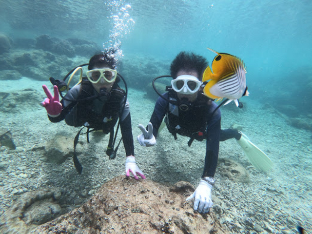 �󂢂ł����A��������̂��������܂���_�����_�C�u (MalDive)