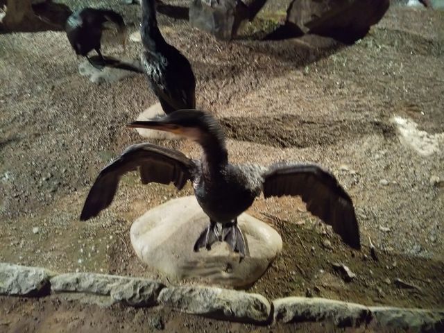 LALa炢HlqB
ڂ̑OŉLB!!
_L