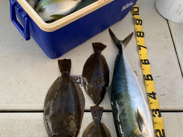 ���S�҉Ƒ��R�l�łR�O�C�ނ�܂���_�ނ�D�܂邩��