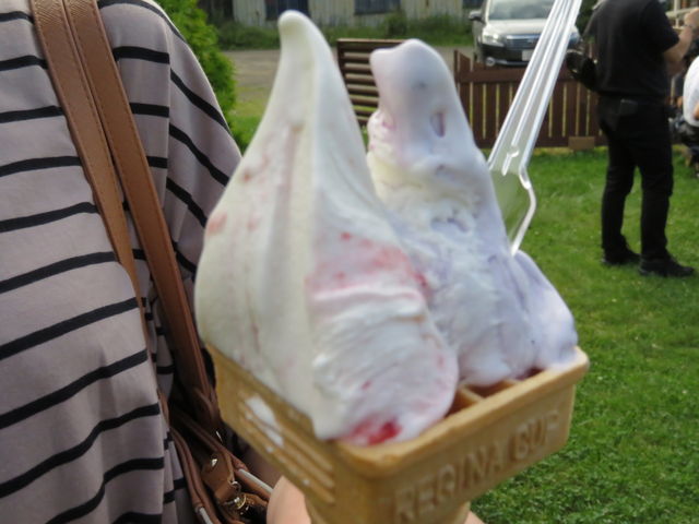 Xgׂƃux[`[YP[L_qiX@X̐Xj