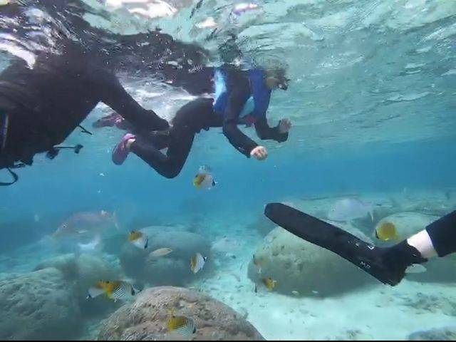 ���ւ̃G�T���_�����_�C�u (MalDive)