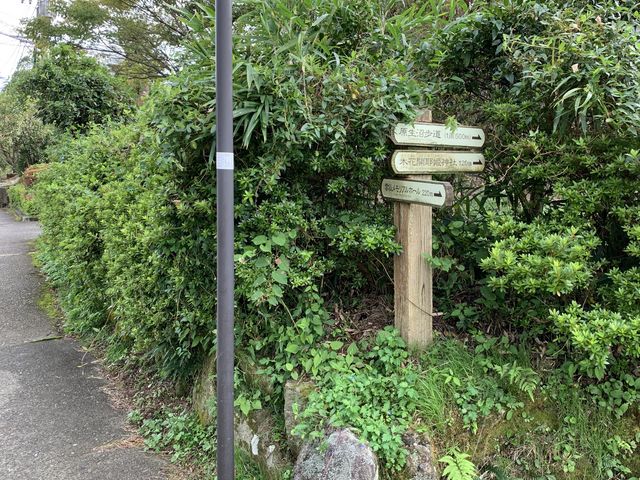 �_�厩�R�����H