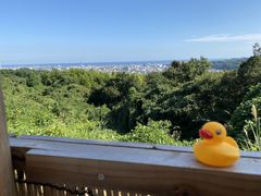 Y̏ÓI[KjbNt@[ւ̓eʐ^1