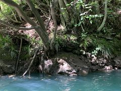 ܂Ȃ̃hbv@AEghAKChT[rXւ̓eʐ^1