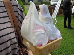 yosshy����̂ւ̓��e�ʐ^2