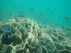 LR̗όU@}NuWCւ̓eʐ^1