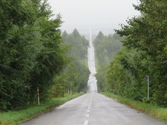 yosshy̒mΗ Vɑւ̓eʐ^1