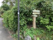 �X�^�[����̉_�厩�R�����H�̓��e�ʐ^1