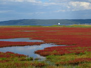 yosshy̔\΂̃TSQ̓eʐ^1