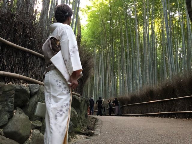 京都 着物 セール じゅ ぱん