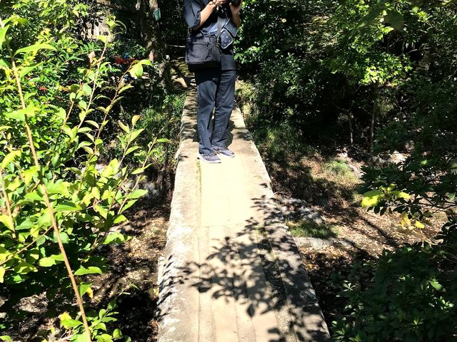 ��̖������B�����Ȃ��悤�A���Ƃ������Ȃ��悤�����ӂ��B_�O���s�������@�y����