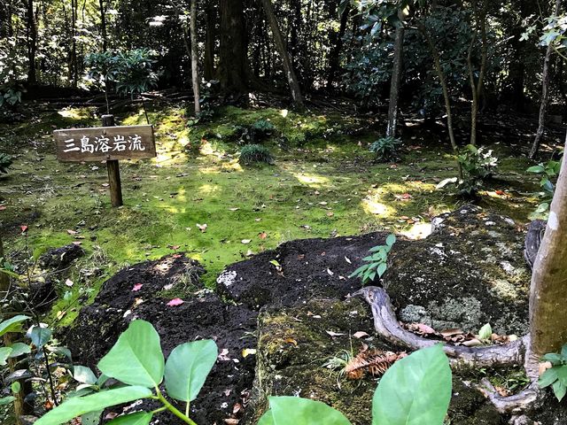 �n��̌オ���鏊�ɁB_�O���s�������@�y����