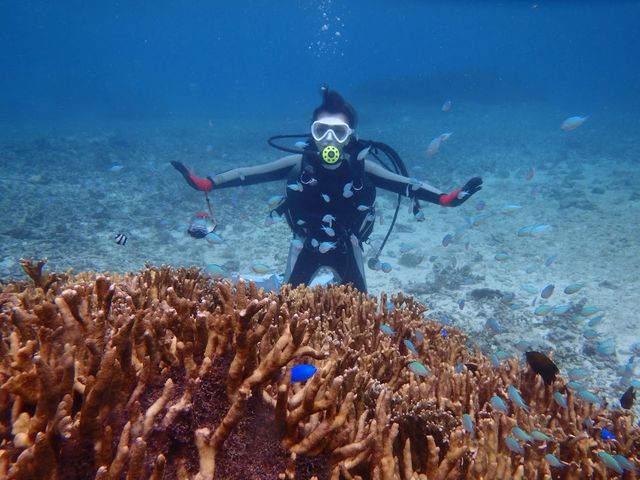 ���������ƋL�O�B�e_BLUE ALOHA�{�Ó�