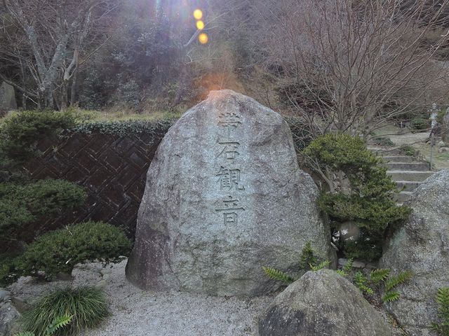 �͒j�N����̑ѐΊω��̓��e�ʐ^1