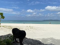 邳̔dRόtF[ւ̓eʐ^1