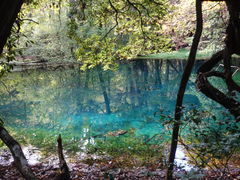 Ђ񂳂̊ےrlւ̓eʐ^1