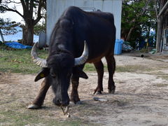 O`̔̃tNM؂ւ̓eʐ^2