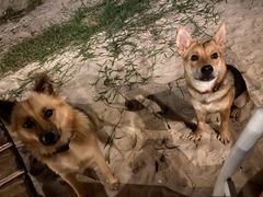 non̕΃_CjO-Perchill-ւ̓eʐ^1