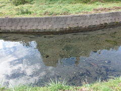 牛渡川の口コミ一覧 じゃらんnet