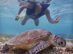 ɂ肳SEA ENJOYւ̓eʐ^1