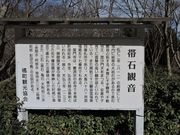 �͒j�N����̑ѐΊω��̓��e�ʐ^2