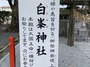 XC[gs[̔ދX_Ёiѓcj̓eʐ^4