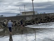 shinshin̊C̉Ɓ@߂̓eʐ^1