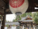 おりょうまこさんの桜山神社（岩手県盛岡市）の投稿写真2