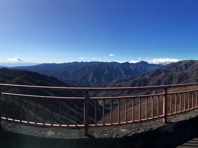 �p�m���}���Ƃ���Ȋ����B_�����R