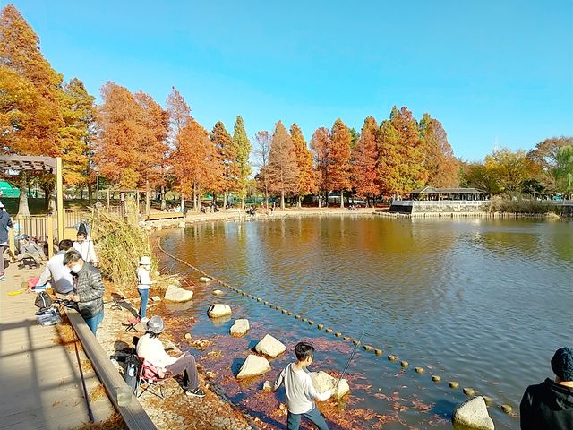 �ӏH�̍g�t�̉��A���Ԃ�Y��Ēނ���y���ށB_�ɐl����