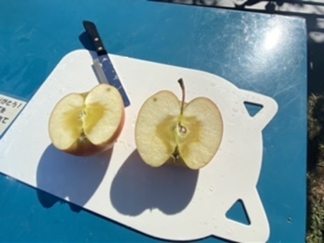 �������Ղ�ӂ������S_����񂲉�